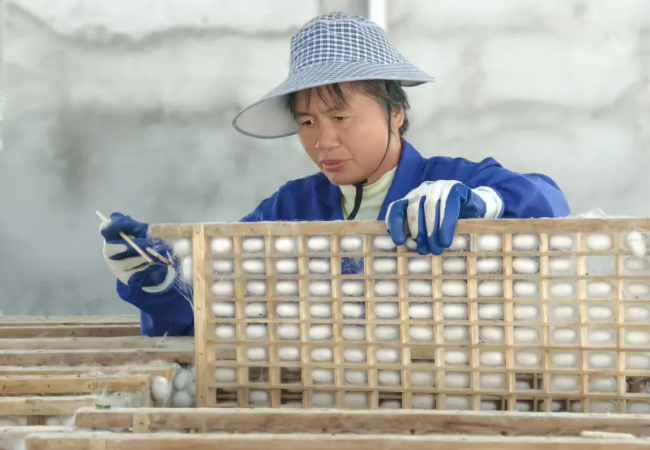 如何找到最适合你的蚕丝被