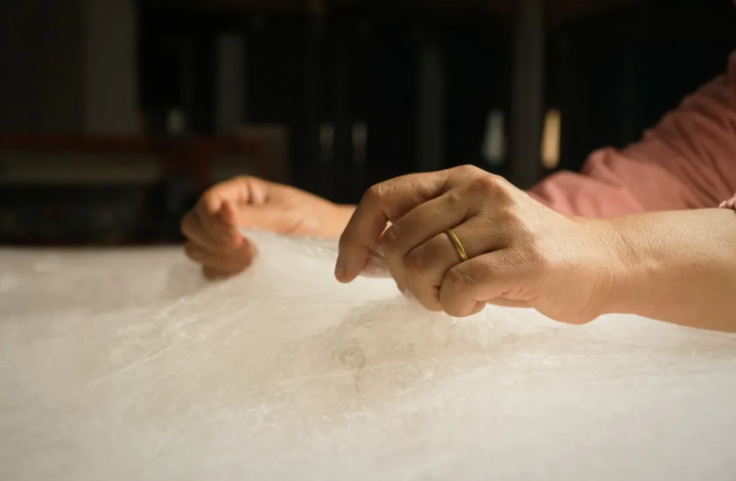 从春蚕到云被：专家揭秘一床好蚕丝被的诞生与鉴别