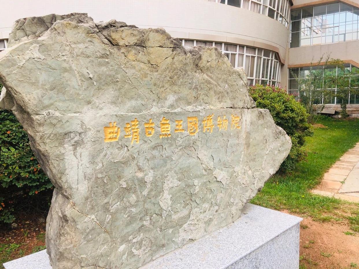 4.2亿年前的生命密码：云南曲靖“古鱼王国”邀您穿越时光长河