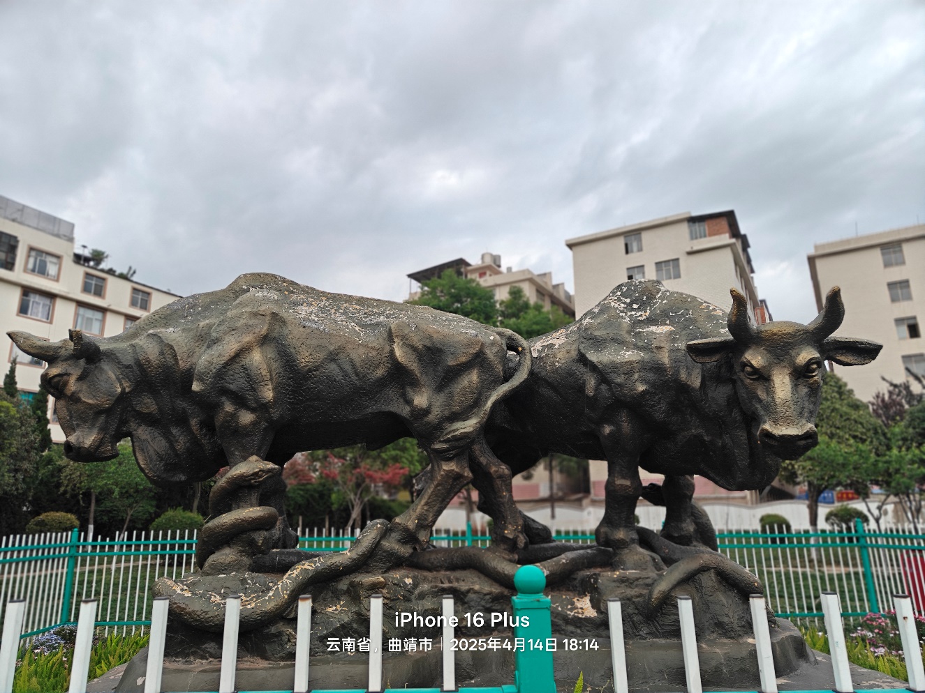 麒麟区金牛塘：城市中的璀璨明珠