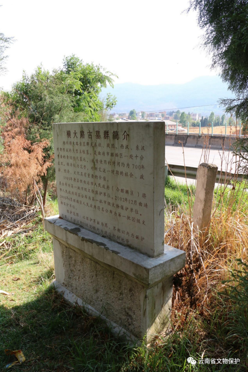 麒麟区横大路古墓群：穿越千年的文明密码与红土高原的生命对话