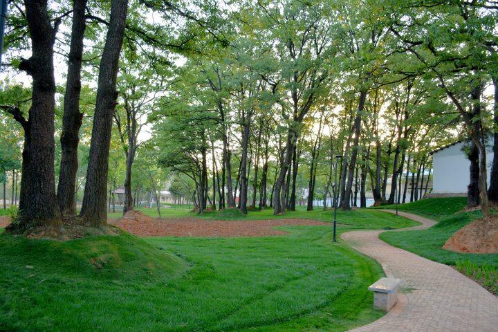 麒麟区古树公园：滇东大地上的生态人文奇迹