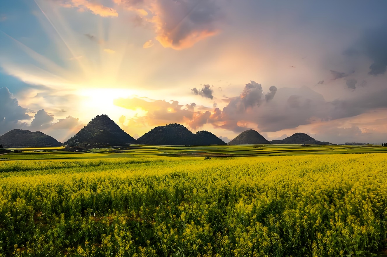 罗平油菜花海：多维度优化旅游环境与体验