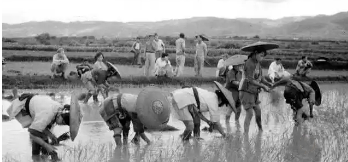 抗战烽火中的曲靖：不屈脊梁与卓越贡献