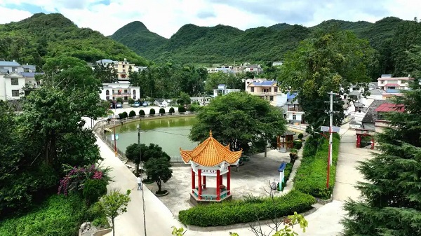 锦绣春韵 水乡樱歌——探秘云南曲靖富源古敢樱花谷的三大独特魅力