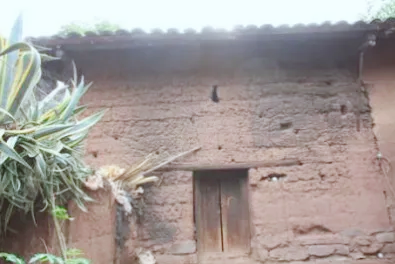 会泽尖山武装起义遗址：烽火尖山铸忠魂 红绿融合谱新篇