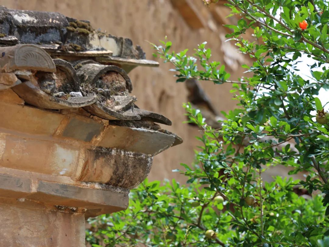 麒麟区珠街街道中所村：科举文脉浸润的诗意家园