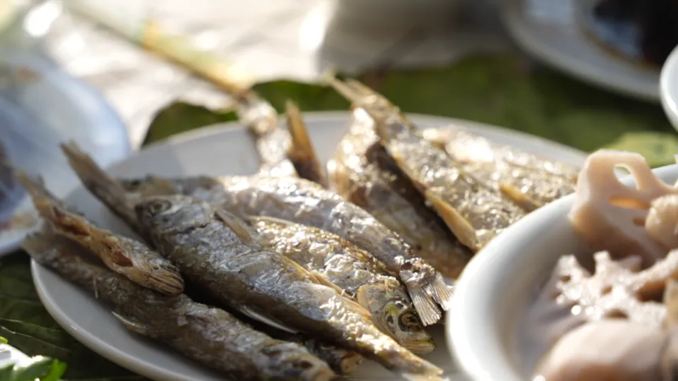 滇池畔的时光琥珀：昆明海口小渔村的旧梦与新声