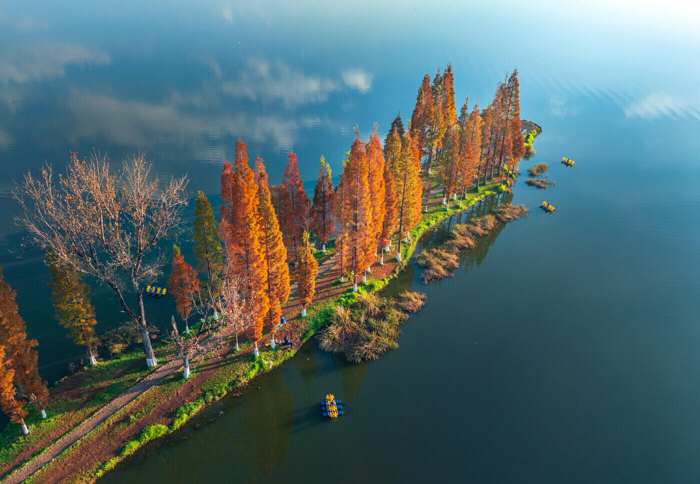 昆明干沟尾湿地公园：滇池畔的“天空之镜”