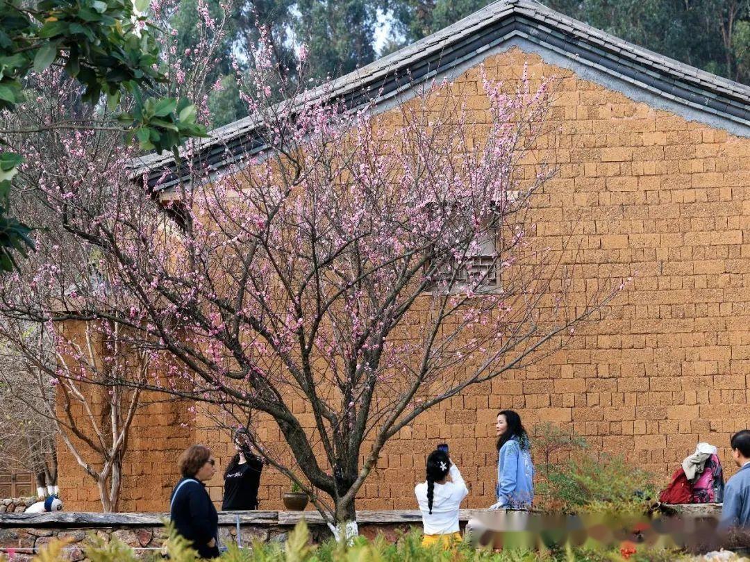 昆明江尾村：滇池畔的千年渔村，在绿道上重获新生